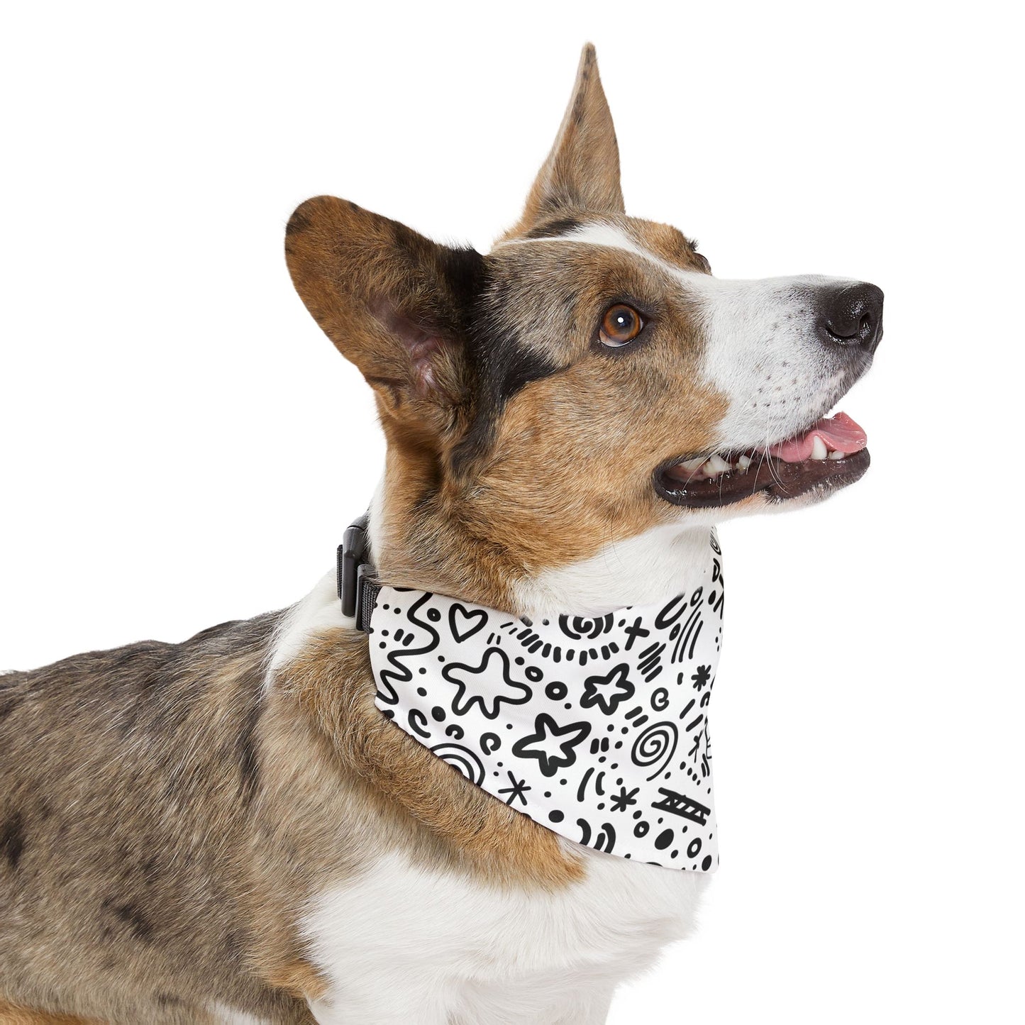 Silly Goose Bandana Collar