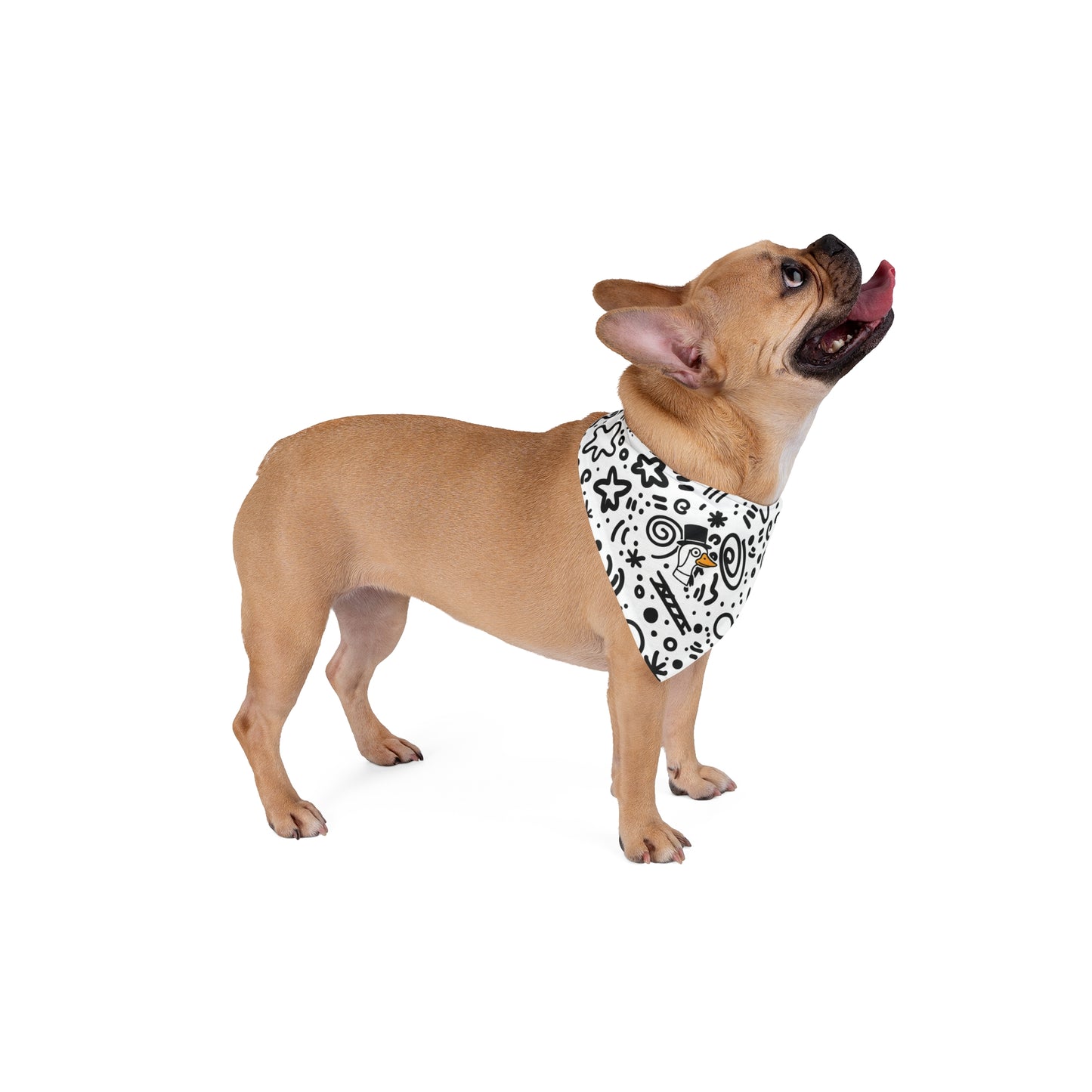 Silly Goose Pet Bandana
