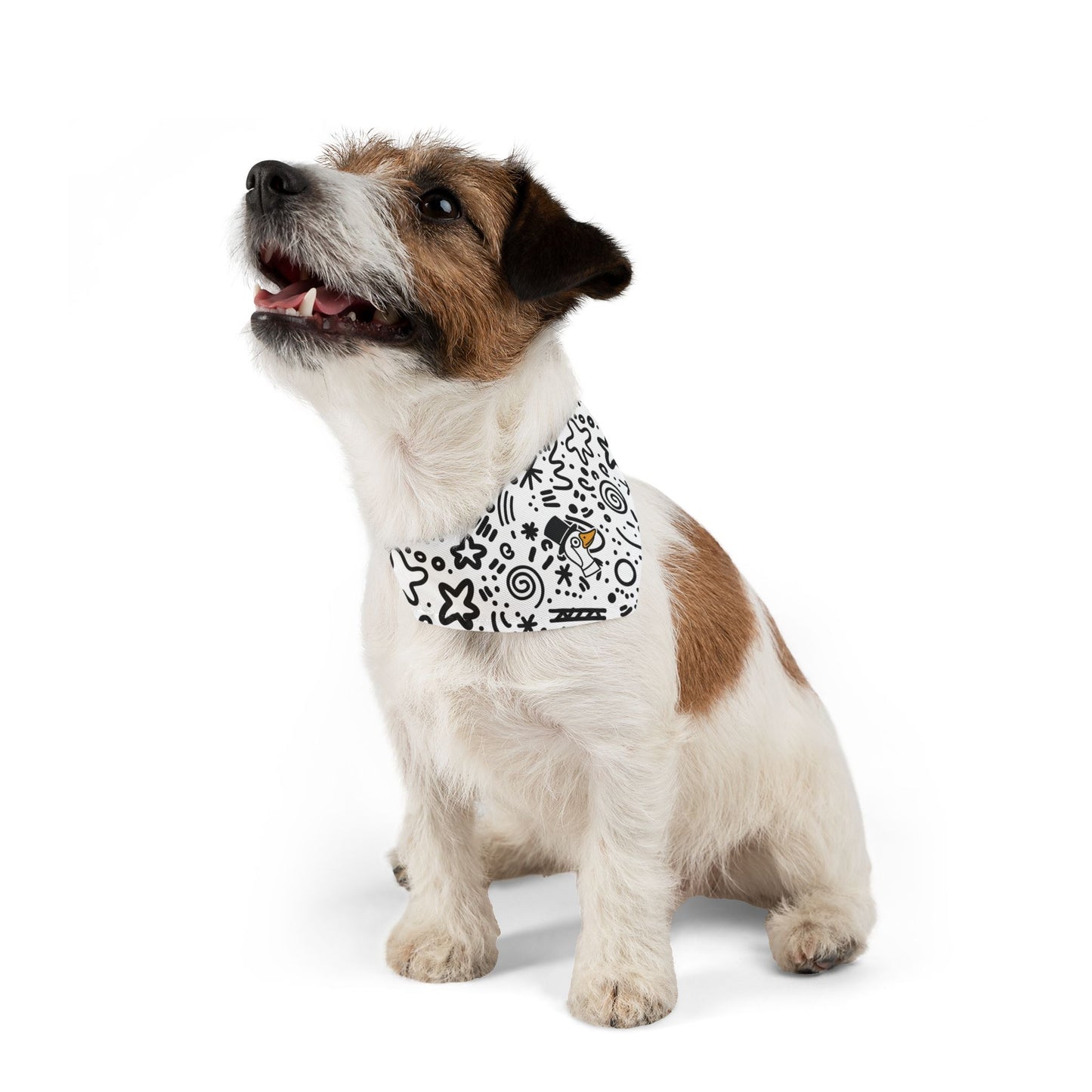 Silly Goose Bandana Collar